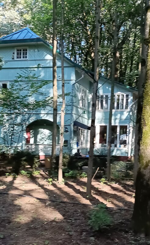 книжный "дом писателя" - Галина R...