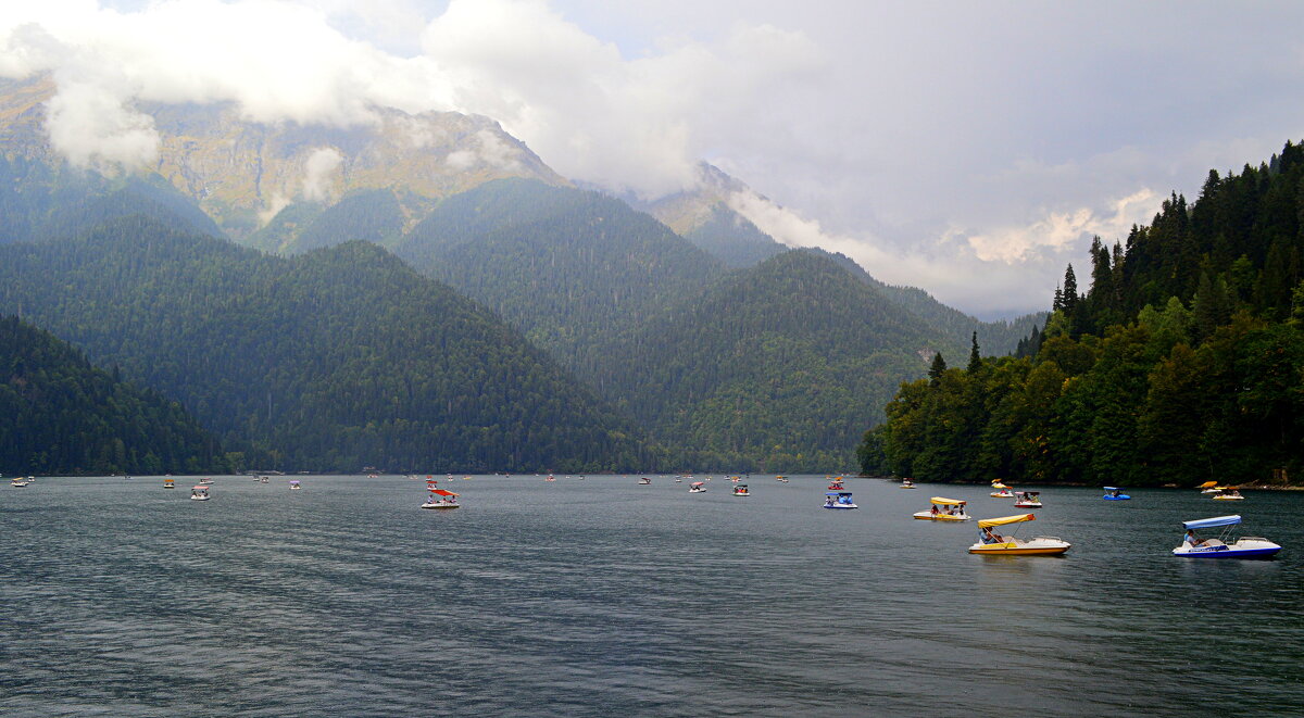 Рица осенняя - Татьяна Лютаева
