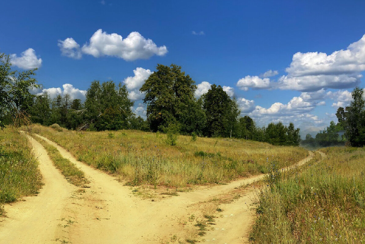 Две дороги два пути. - Анатолий Уткин