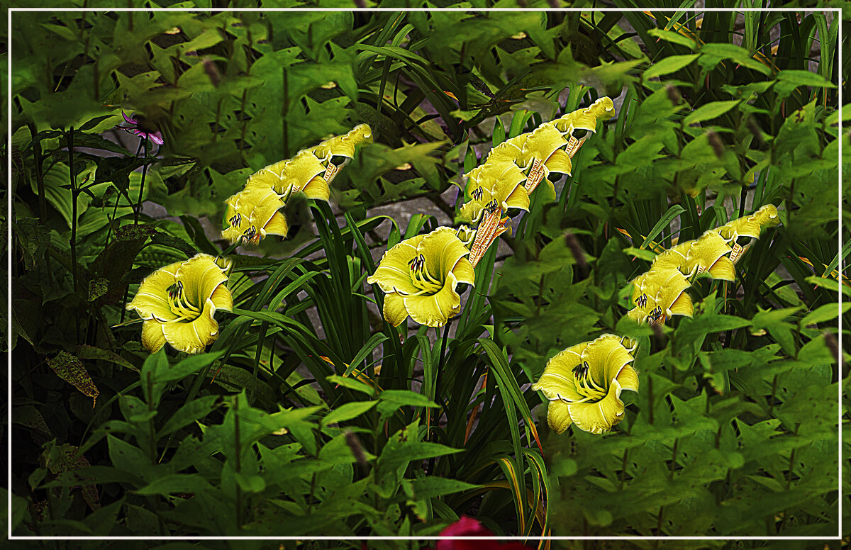 Ракеты осени - Владимир Кроливец