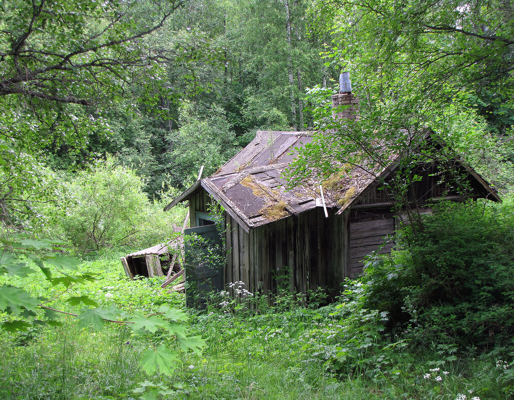 Старость - Александр Ильчевский 