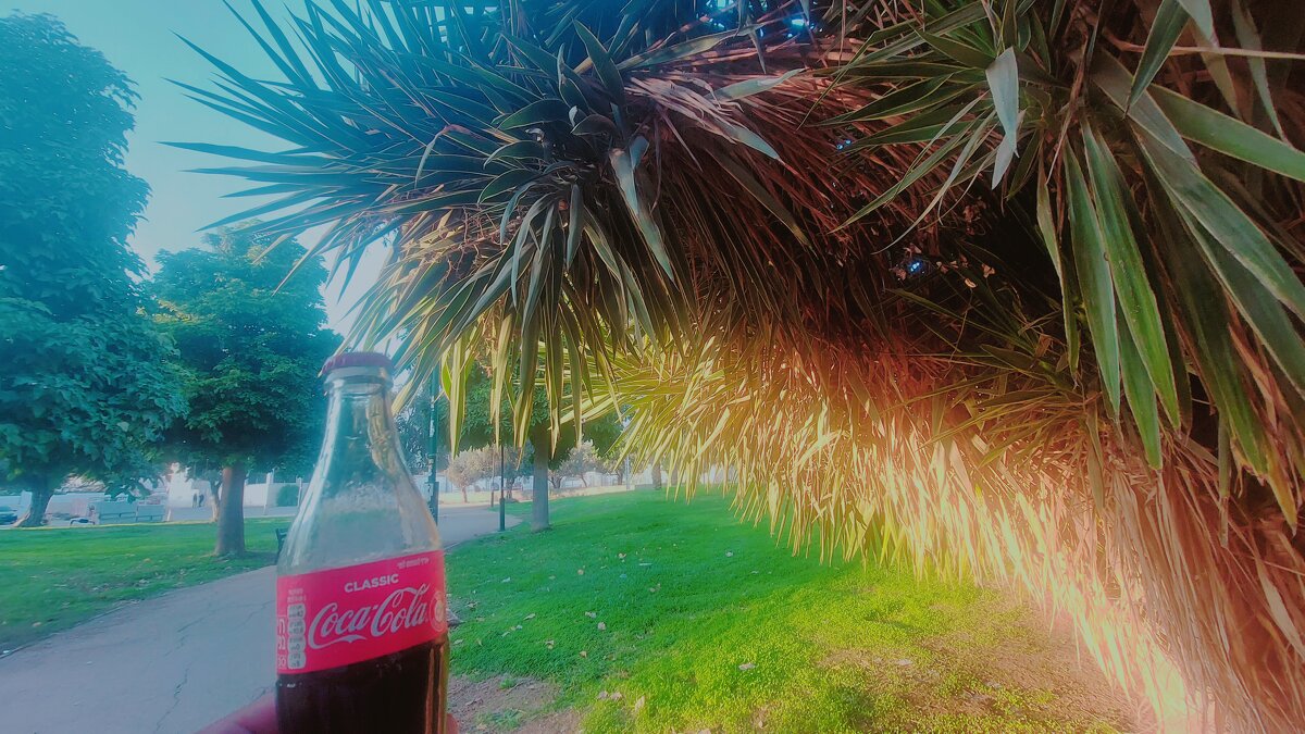 13  ОПЕН (299) - OPEN WAYS ALL