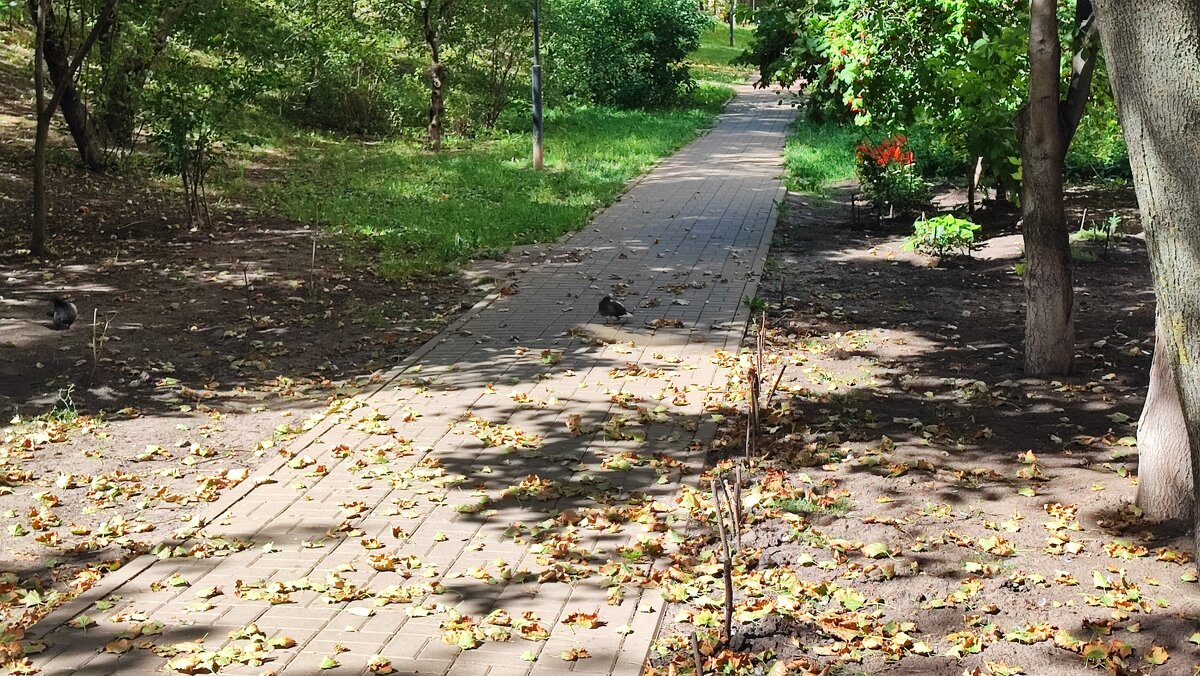 ,,,, - Сергей Тимоновский