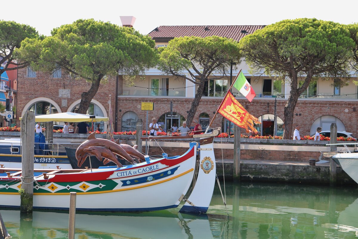 дельфины - Светлана Баталий