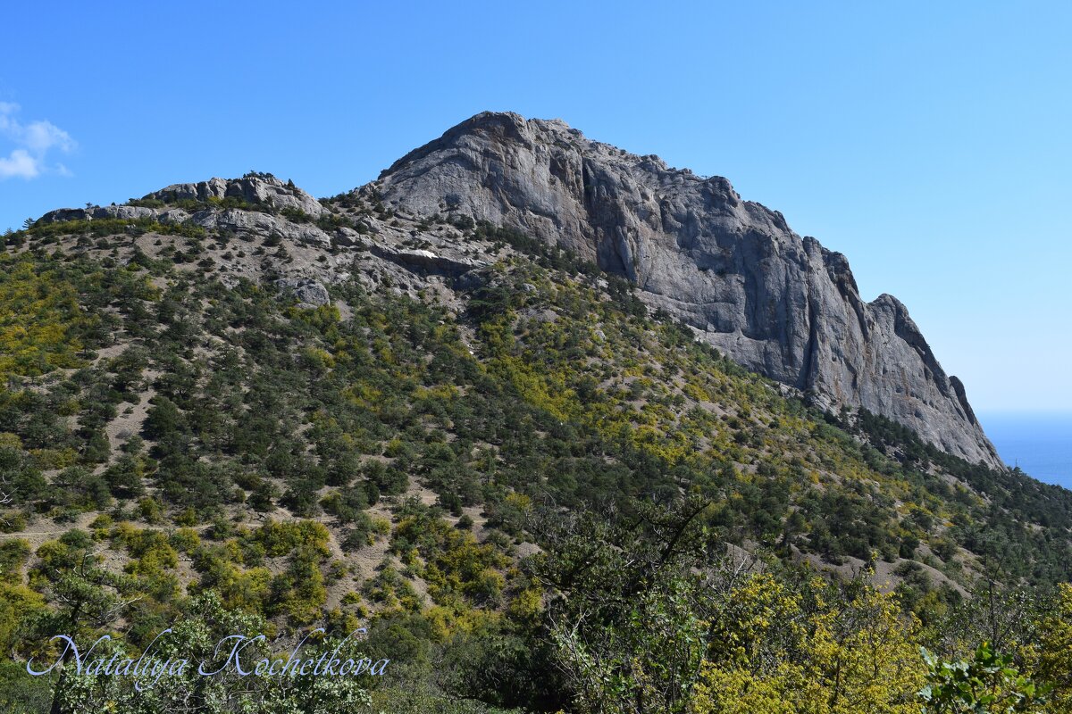 Природа Крыма - Amazing Cosmea