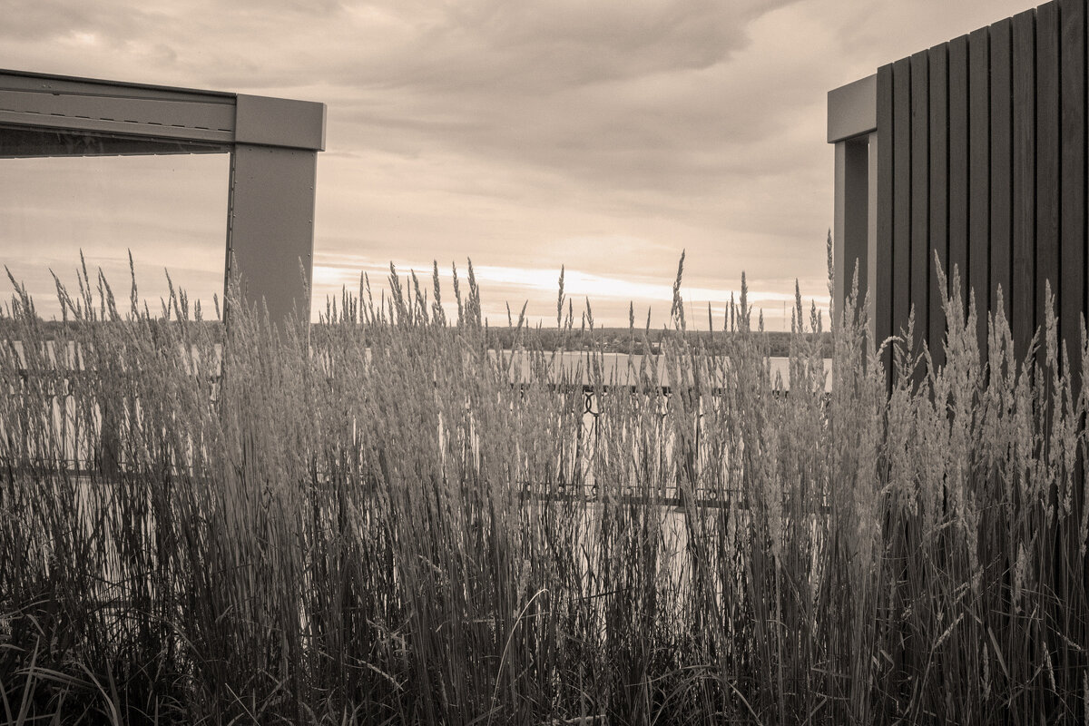 Тишина - Наталья Сафронова