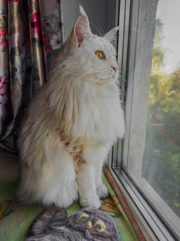 Эльза. - Борис Калитенко