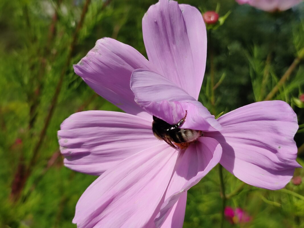 Ветер - Валентина Богатко 