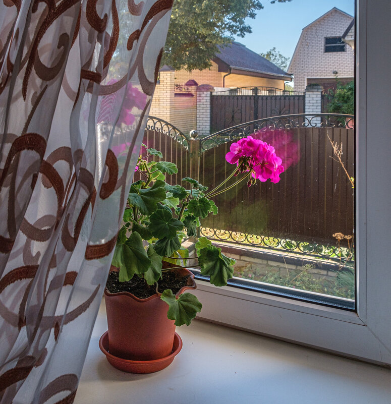 Я из окна смотрю на улицу почти, как в детстве... - Александр Орлов