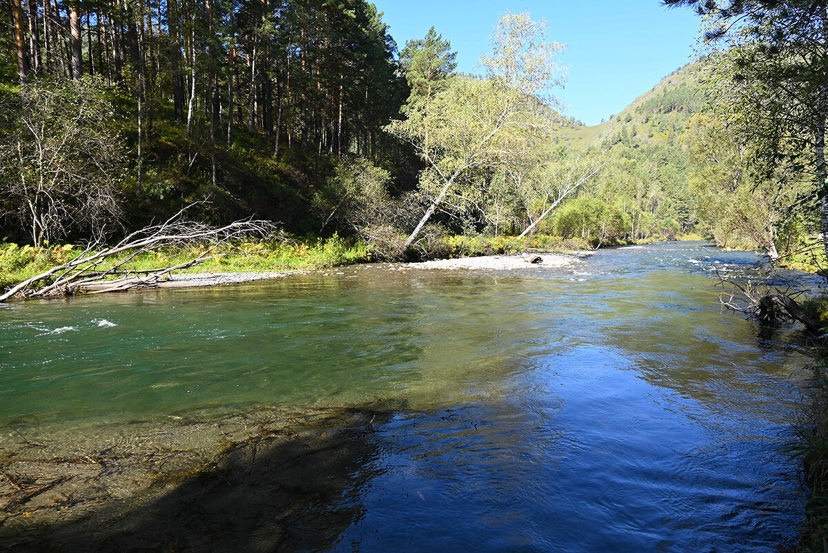 По р.Чемал - Валерий Медведев