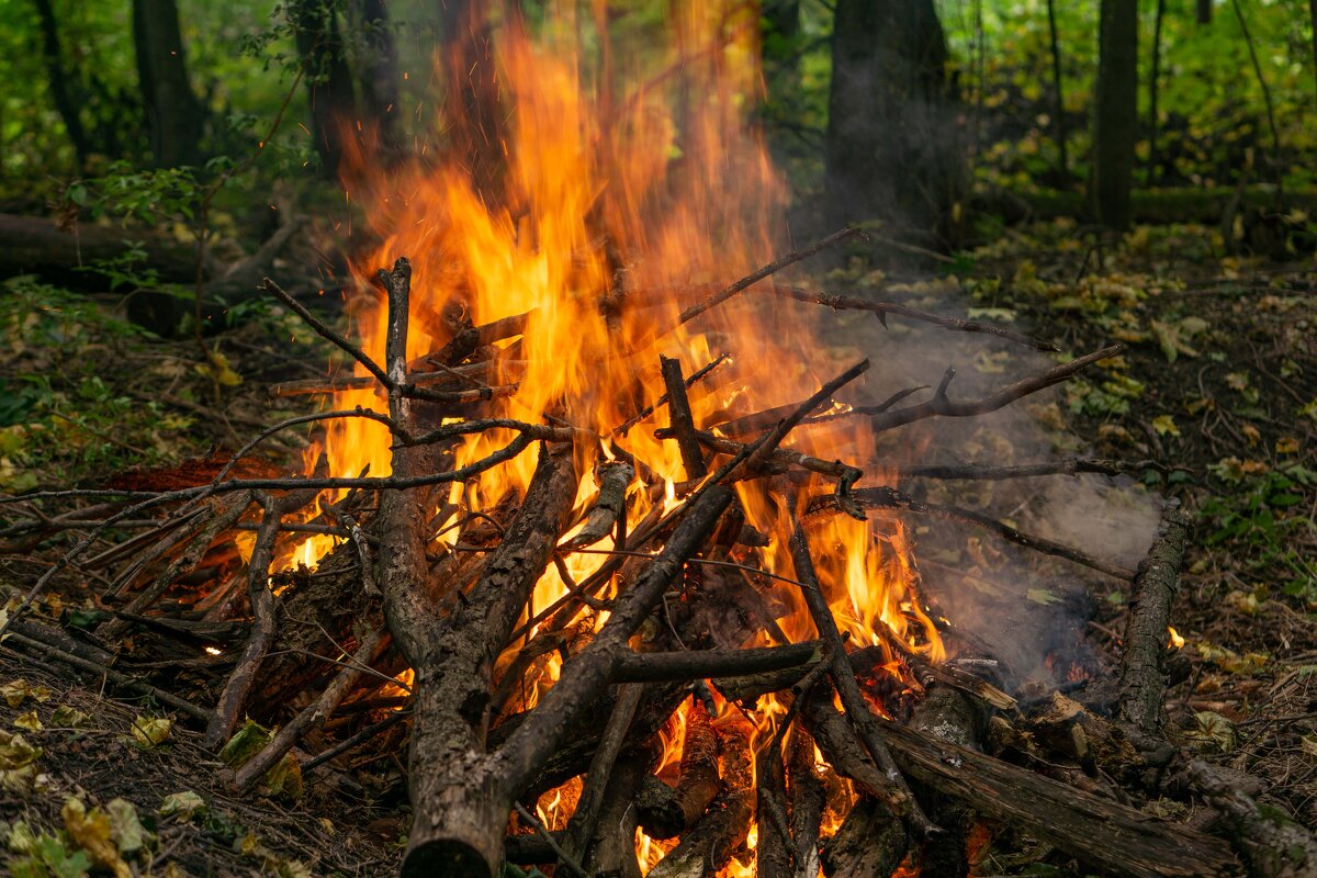 Когда солнце уже не греет - Дмитрий Ряховский