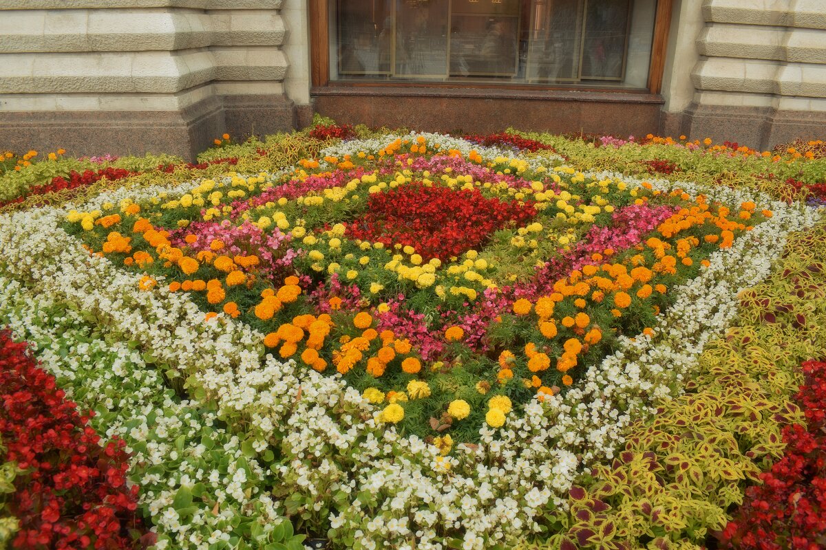 Цветочные композиции у ГУМа. - Татьяна Помогалова