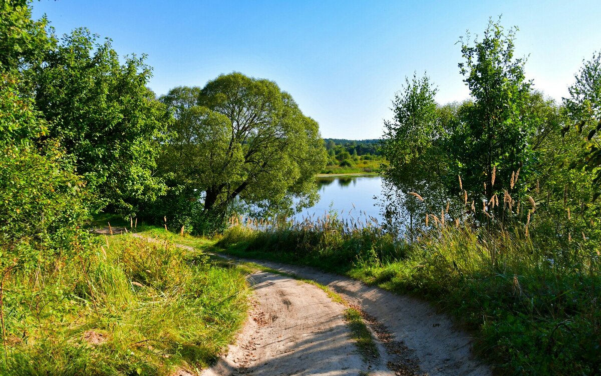 Дорога рыбаков по озёрному берегу (репортаж из поездки по области). - Милешкин Владимир Алексеевич 