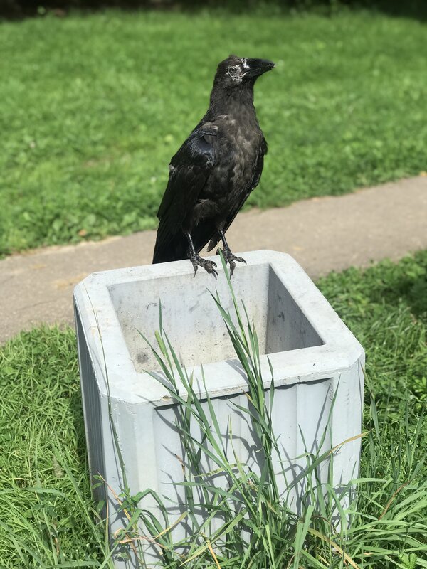 Неожиданная встреча. - Любовь 
