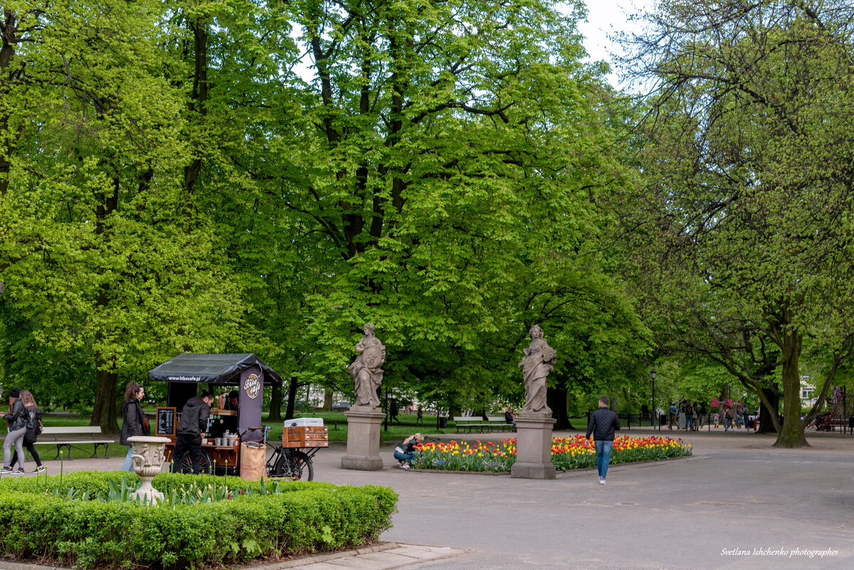 Саксонский сад в Варшаве - Светлана Ищенко