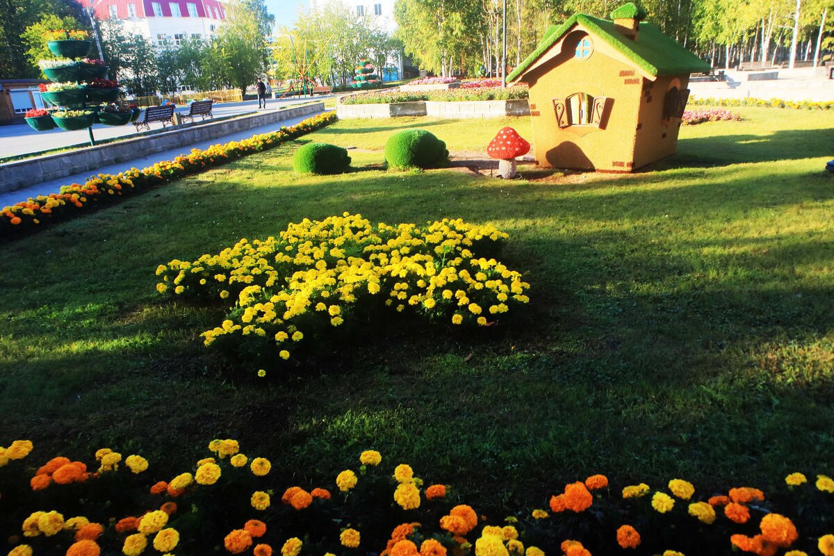 Бабье лето в сквере Победы! - Владимир 