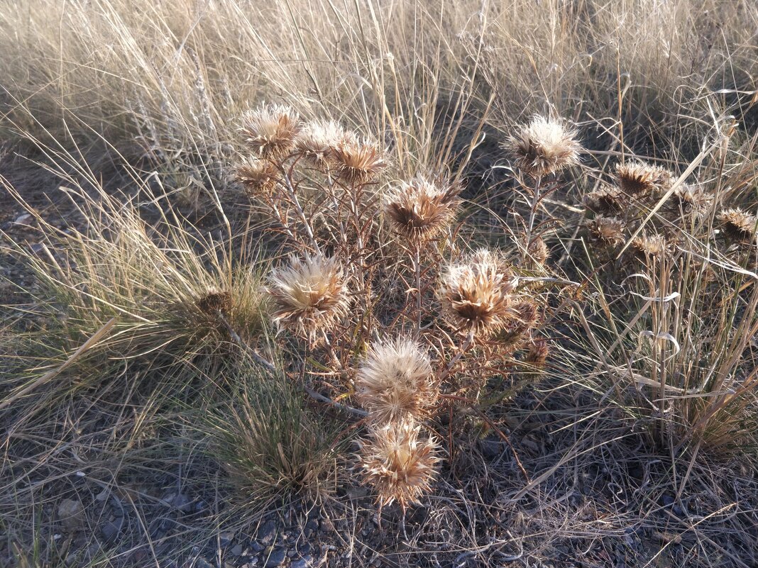 Горные вершины - Андрей Хлопонин