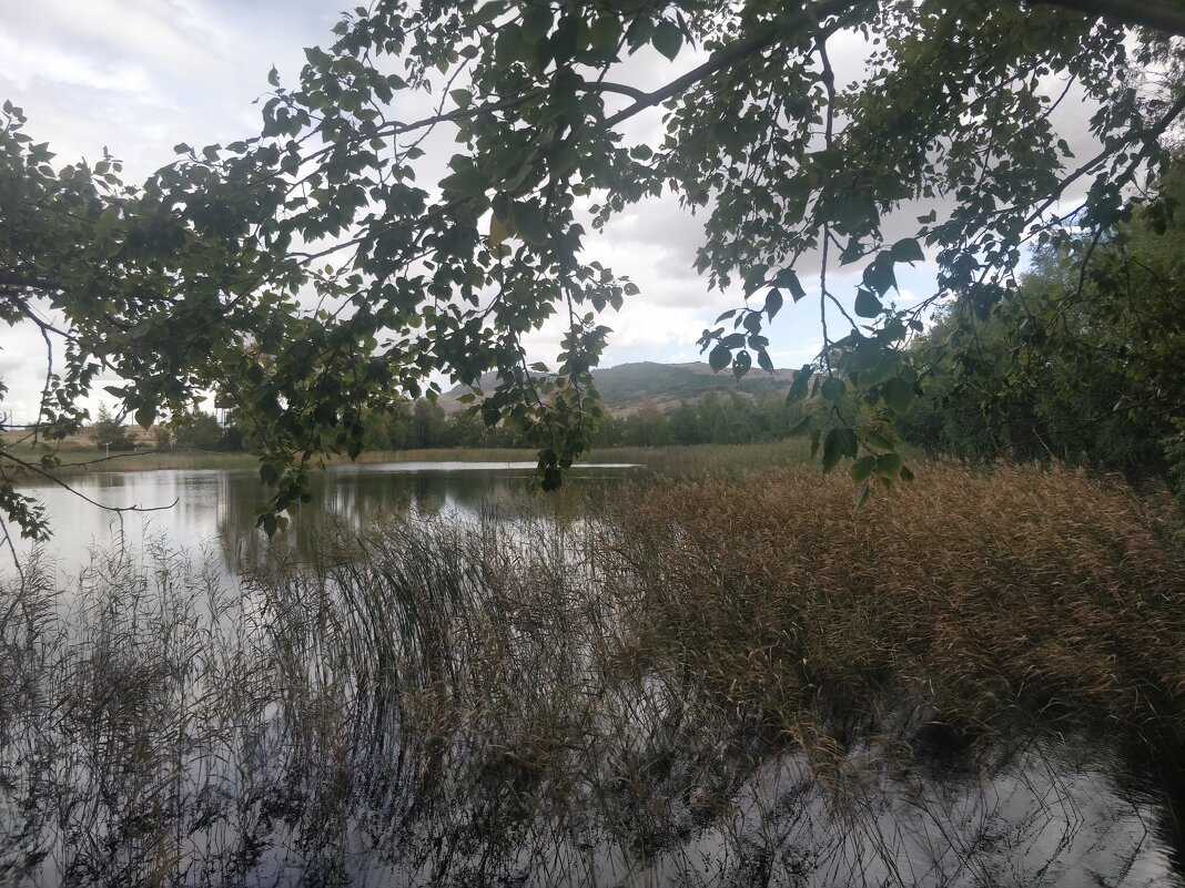 Жосалы .Сентябрь - Андрей Хлопонин