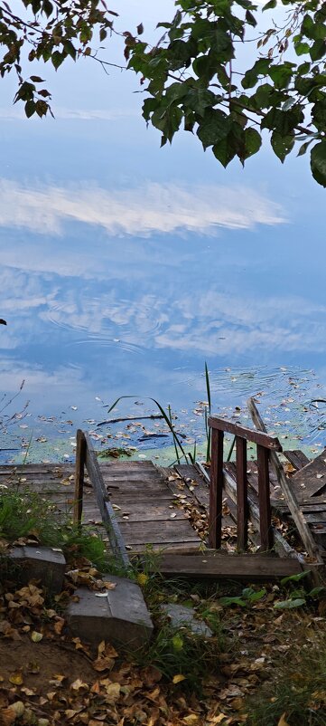 Отражение - Наталия 