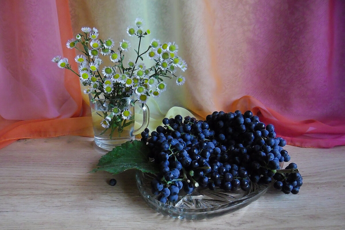 *** - Надежда Куркина 