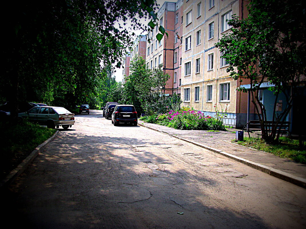 Лето. - Владимир Драгунский