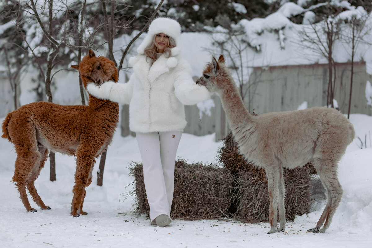 Уютное фото - Евгения Вахнеева