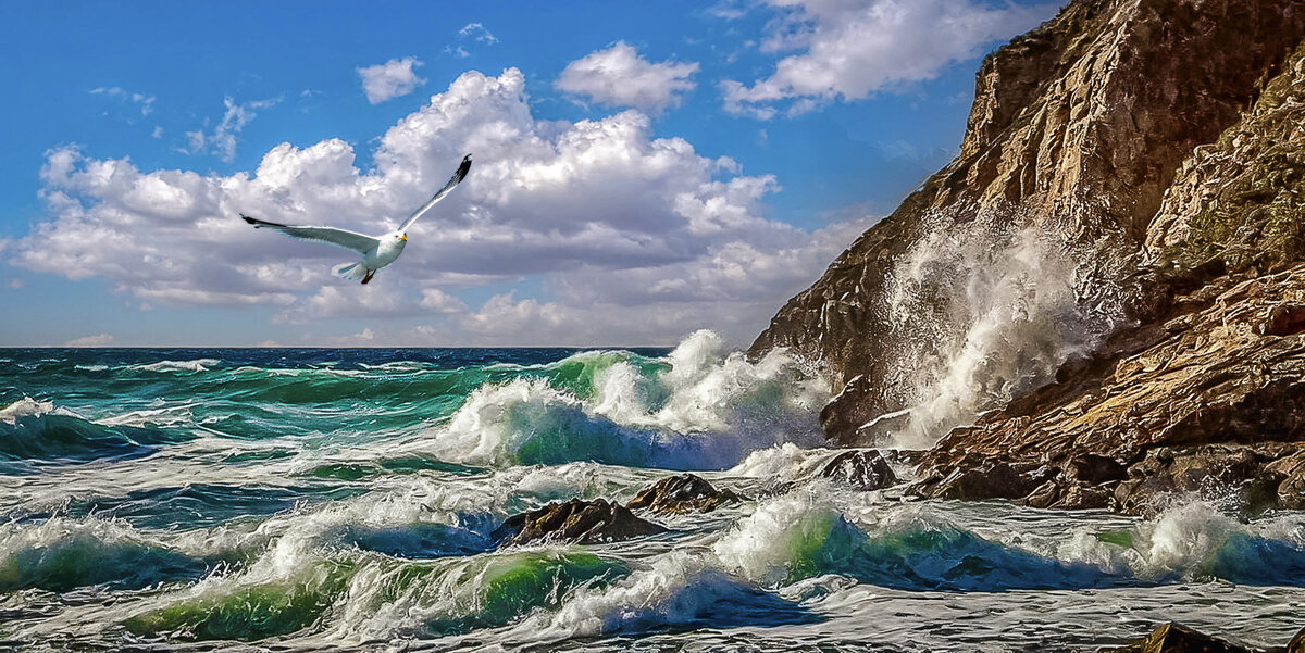 Прибой - Aleksey Afonin