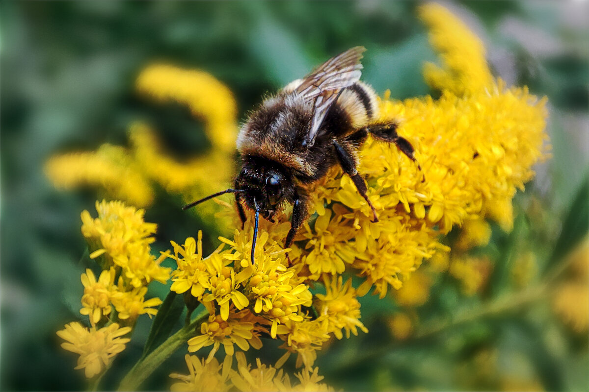 , - AZ east3 , - AZ east3