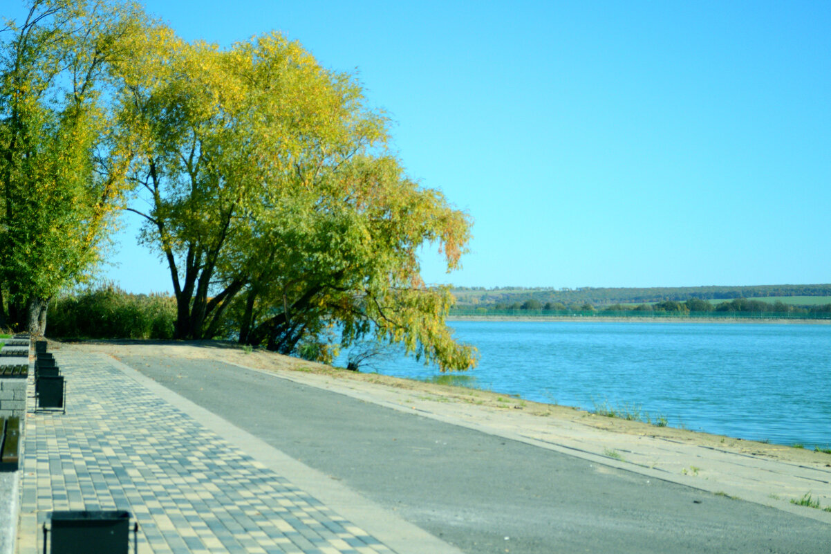 *** - Андрей Л. В.