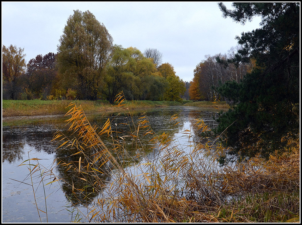 Осень наступила... - Aleksandr Gal