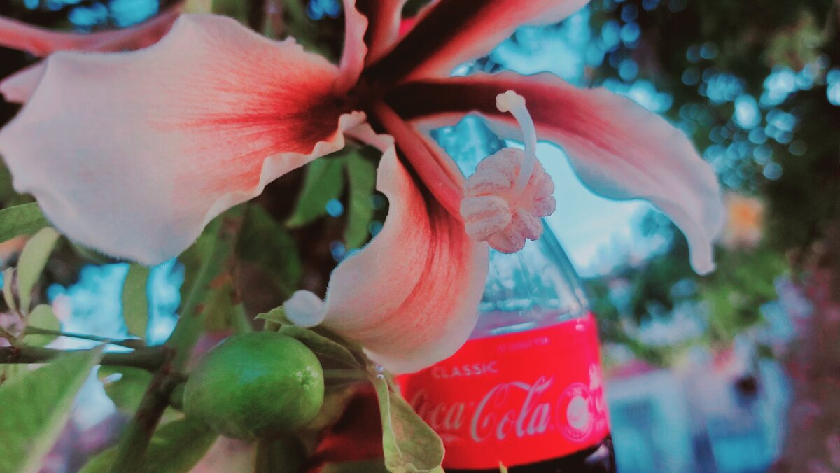 13  ОПЕН (301) - OPEN WAYS ALL