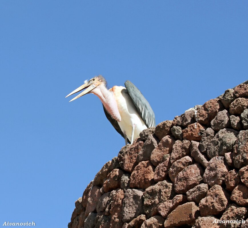ПОГОВОРИМ, БРАТ. - Андрей Андреев Андреев ПОГОВОРИМ, БРАТ. - Андрей Андреев Андреев