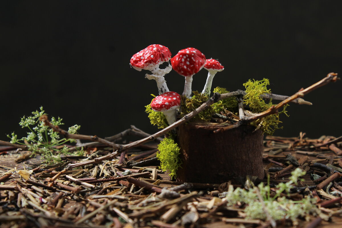 Встреча в лесу. - Нина Сироткина 