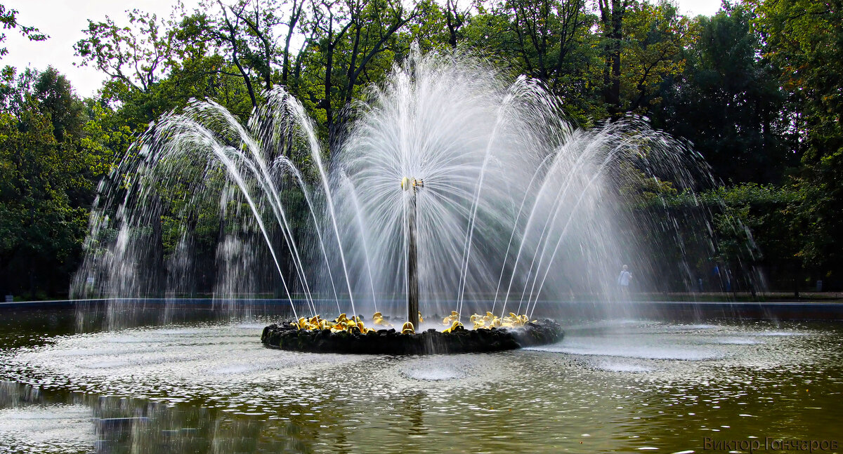 фонтан, Петергоф - Laryan1 