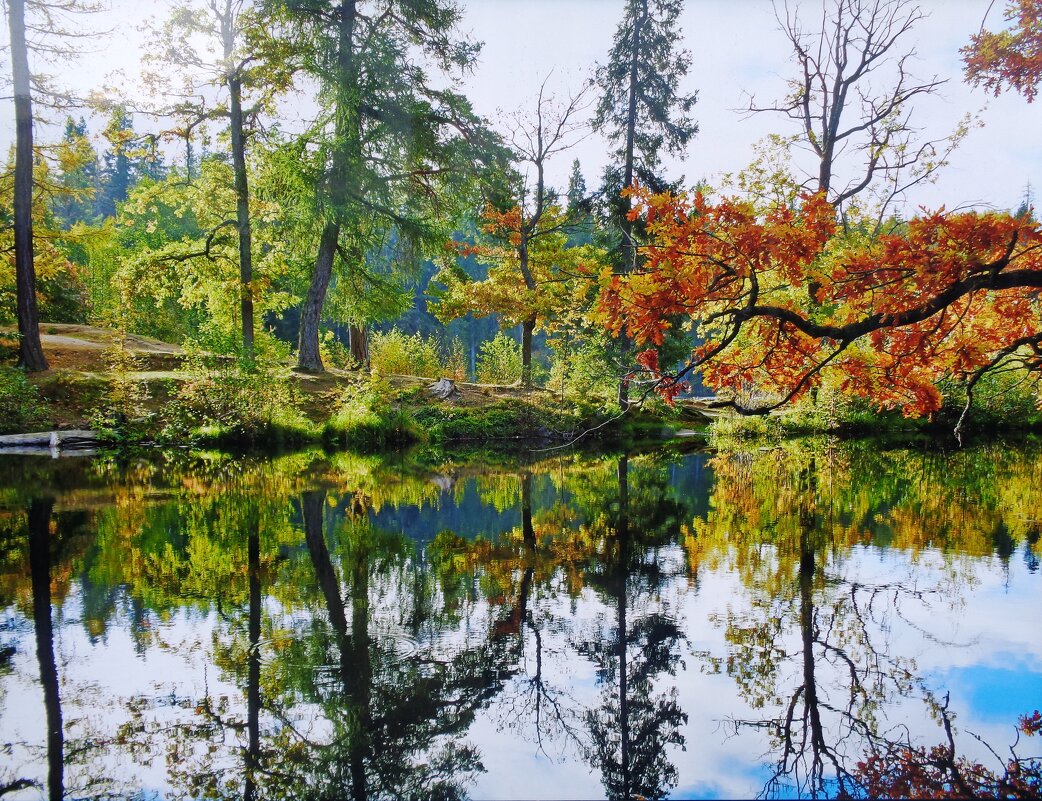 Карелия - Наталья 