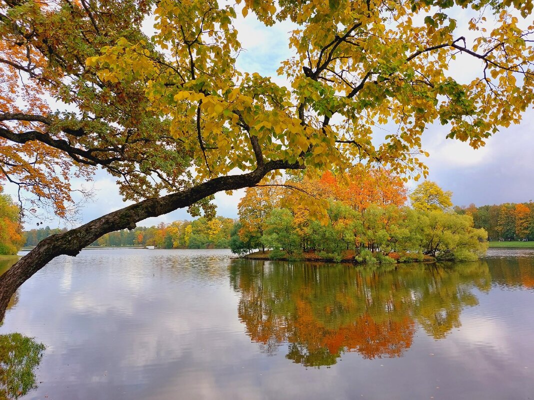 Пышное природы увяданье - Хватова Марина 