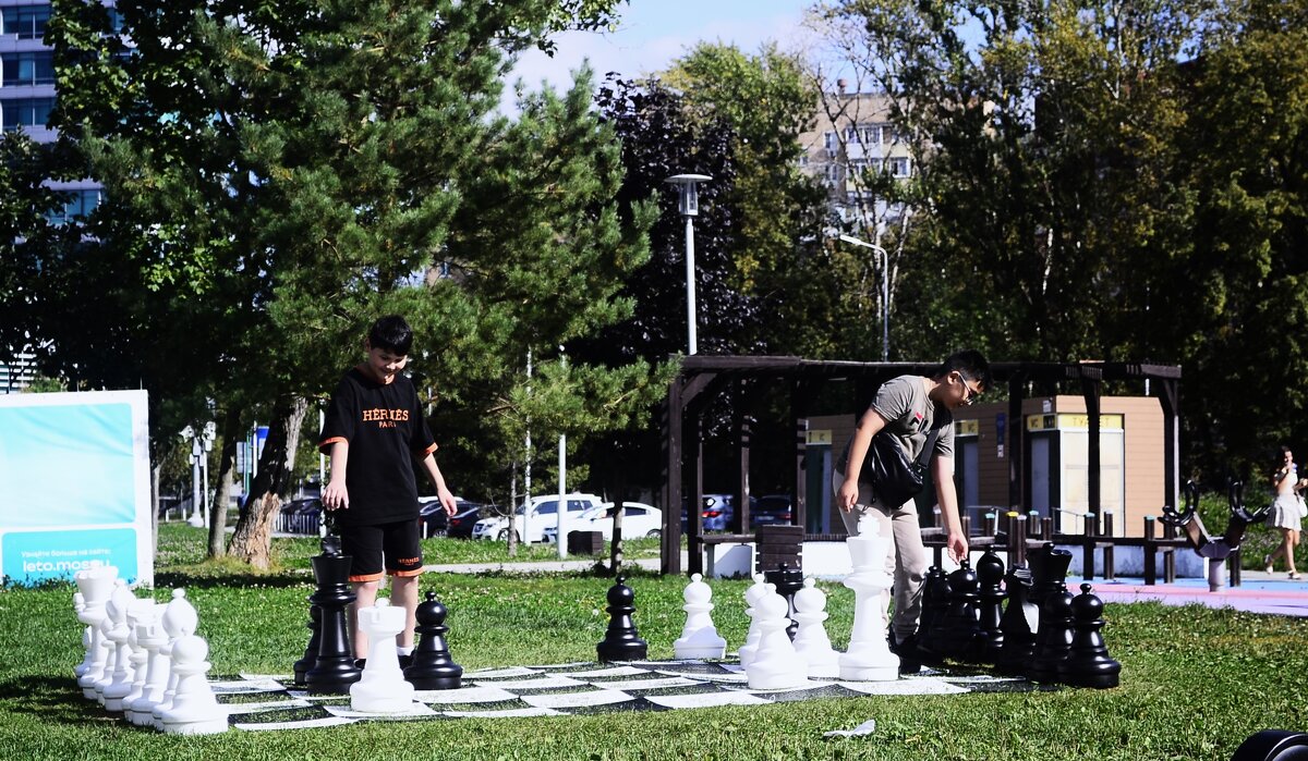 Шахматная композиция. - Василий Палий Шахматная композиция. - Василий Палий