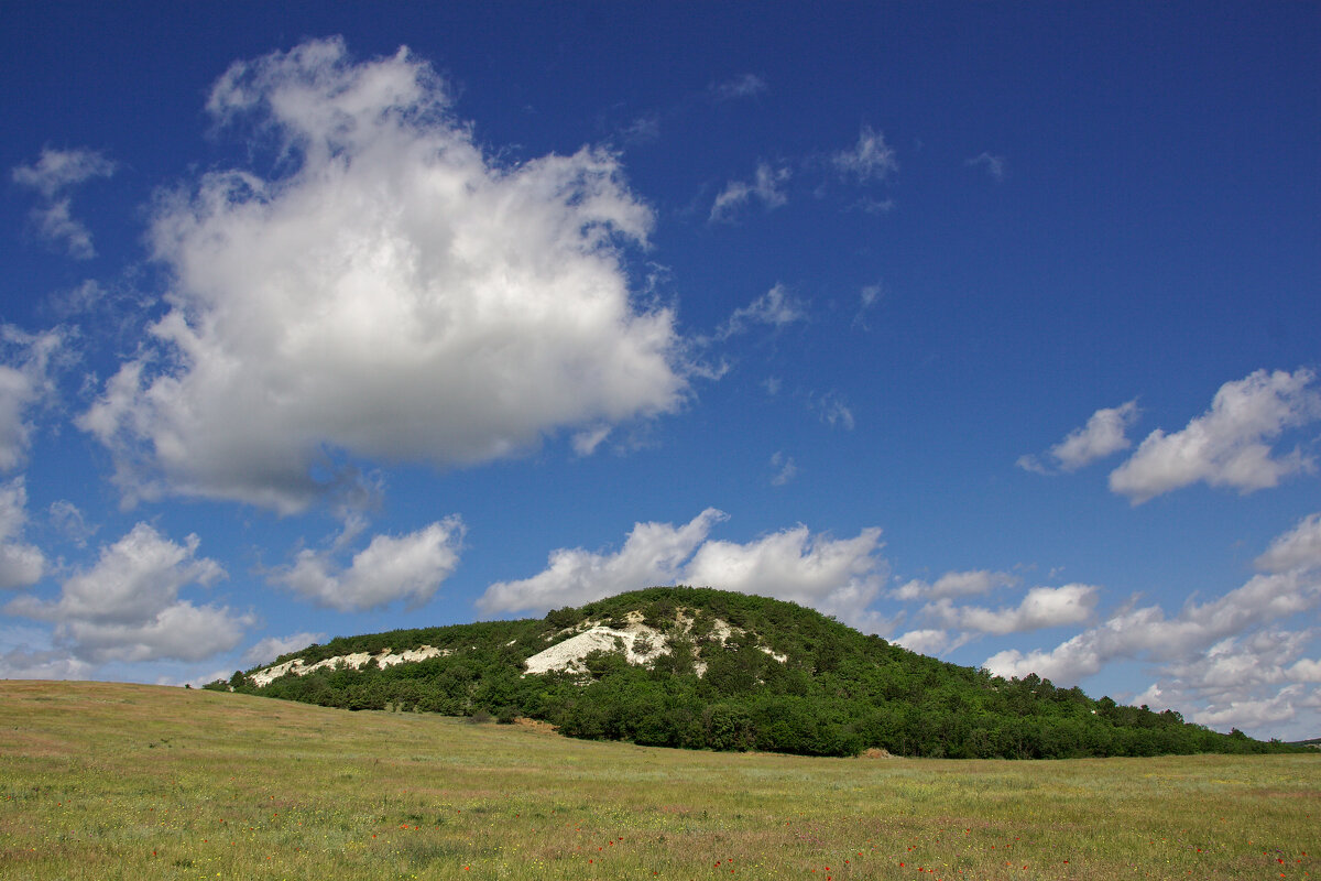вольный ветер - Всеволод 