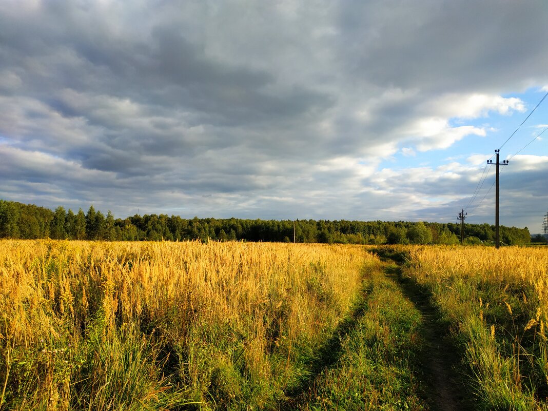 Бабье лето как оно есть - Андрей Лукьянов