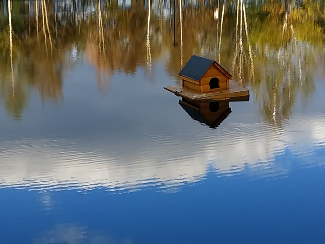 Бабье лето как оно есть - Андрей Лукьянов Бабье лето как оно есть - Андрей Лукьянов