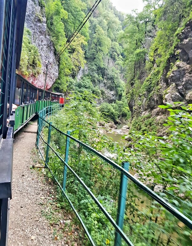 ГУАМСКОЕ УЩЕЛЬЕ - Tata Wolf