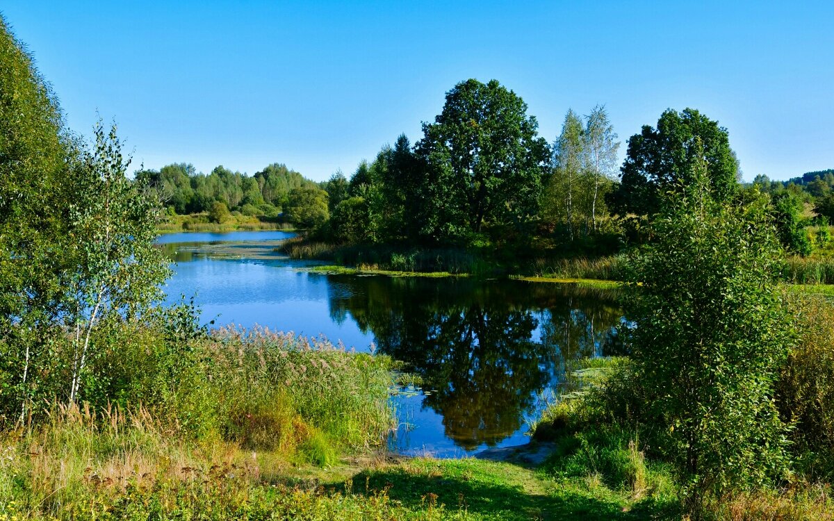 О природе области в сентябре (репортаж из поездки по области). - Милешкин Владимир Алексеевич О природе области в сентябре (репортаж из поездки по области). - Милешкин Владимир Алексеевич