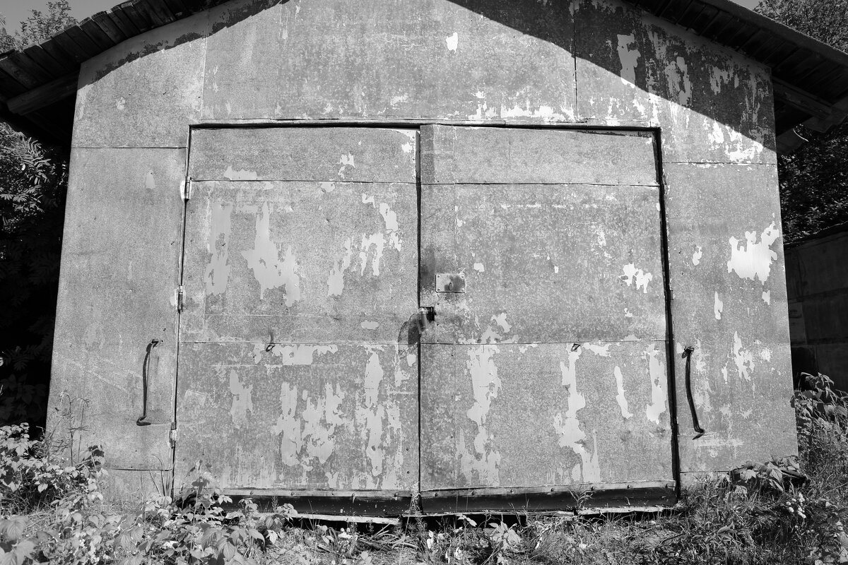 ... - Денис Безногов