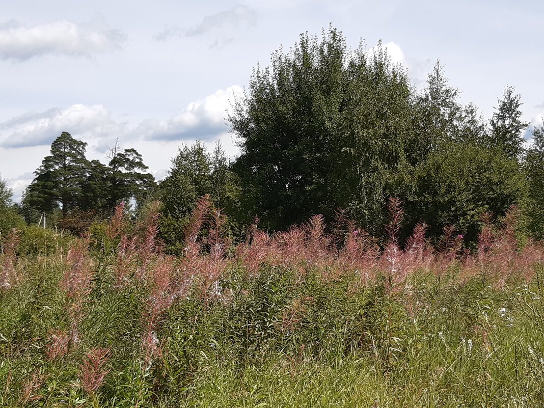 Это было в августе - Галина Минчук Это было в августе - Галина Минчук