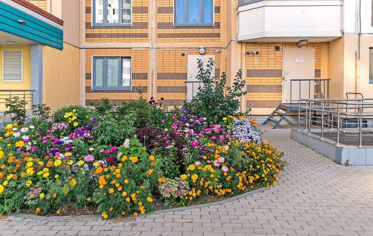 Палисадник у многоэтажки - Валерий Иванович