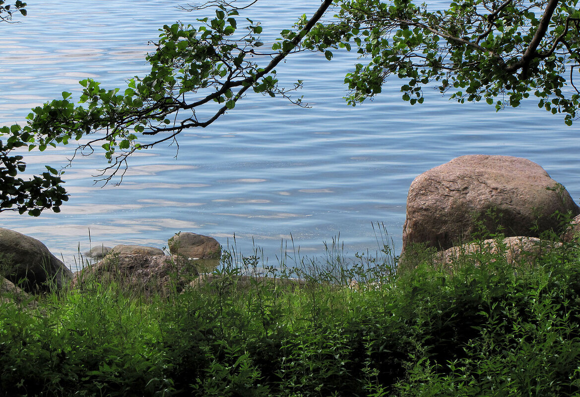 Берег залива у поселка Манола - Александр Ильчевский 