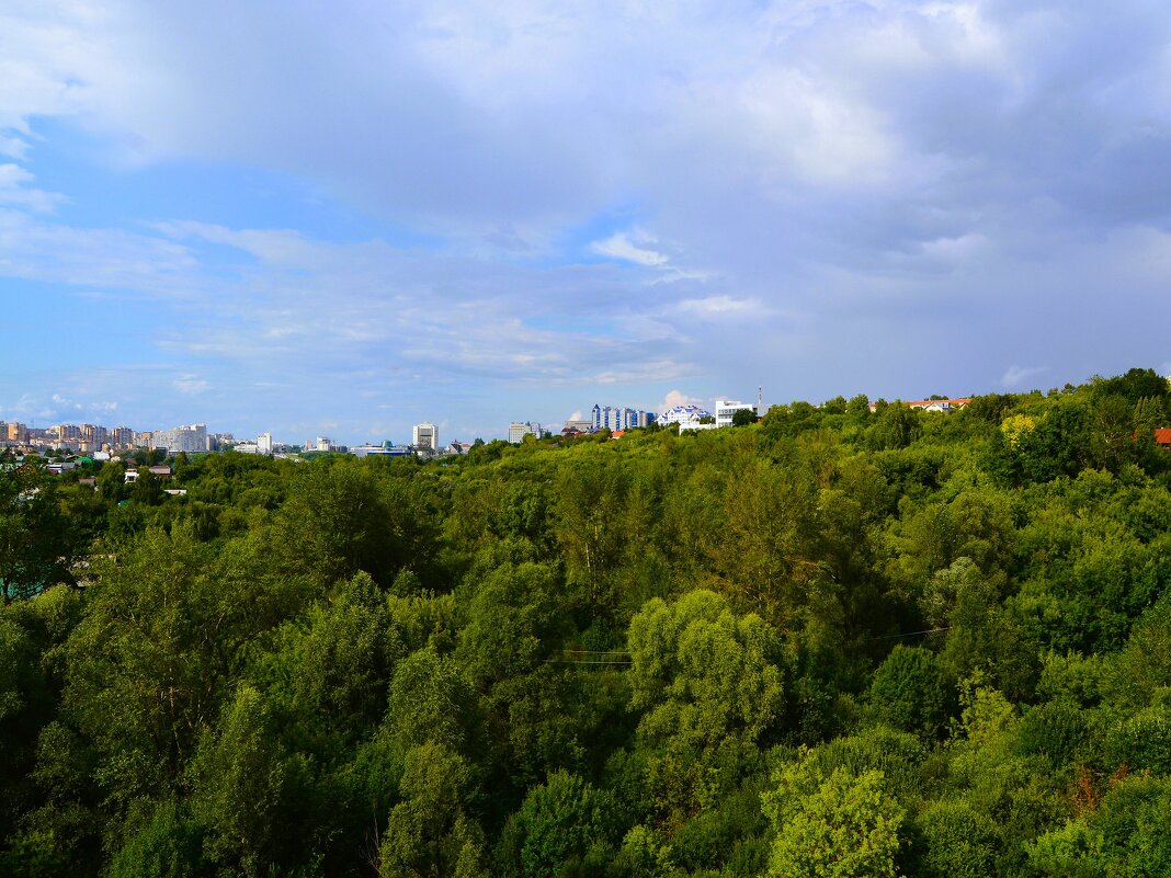 Чебоксары. Лес Трусихинского оврага летом (вид с Гагаринского моста). - Пётр Чернега
