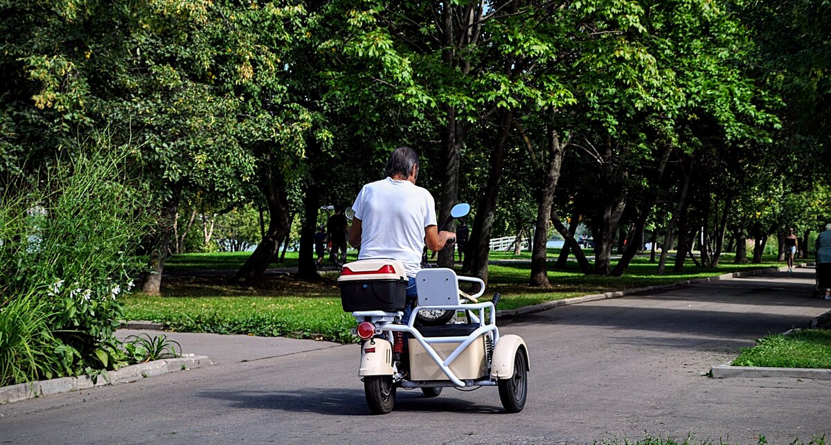 Трёхколёсный ! Электроскутер с коляской,,, - Анатолий Колосов