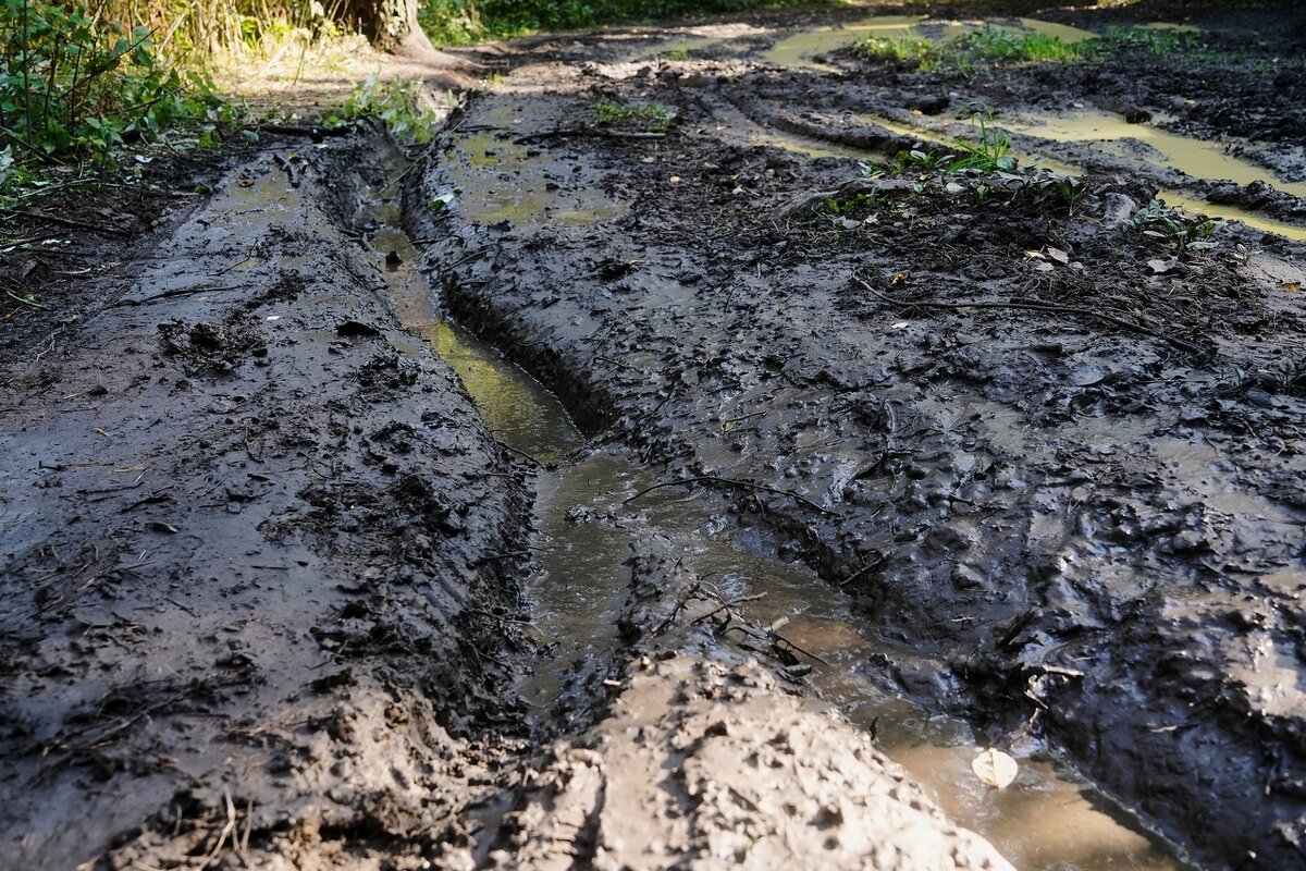 Есть в осени первоначальной, короткая, но дивная пора.... - Владимир 