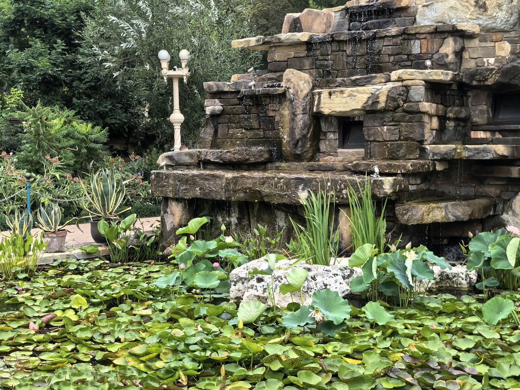 Пруд - Татьяна Михайлова